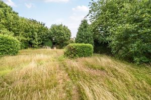 Garden- click for photo gallery